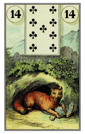 狐狸