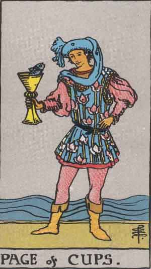 Page of Cups 圣杯侍卫