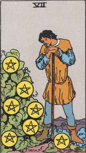 Seven of Pentacles 星币七