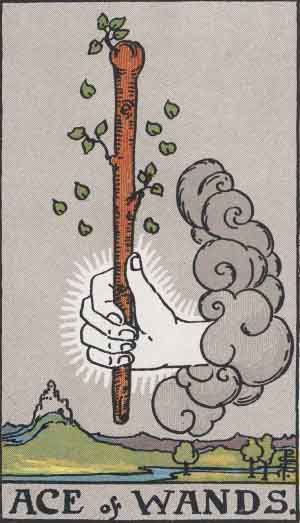 Ace of Wands 权杖一