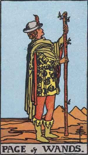 Page of Wands 权杖侍卫